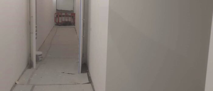Painters Edmonton